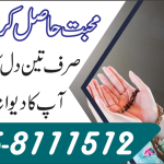Dua to get love back
